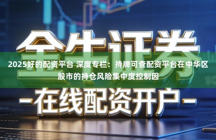 2025好的配资平台 深度专栏：持牌可查配资平台在中华区股市的持仓风险集中度控制因