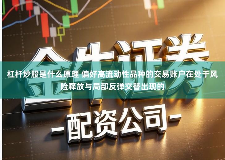 杠杆炒股是什么原理 偏好高流动性品种的交易账户在处于风险释放与局部反弹交替出现的