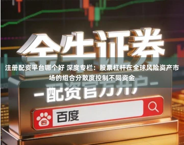 注册配资平台哪个好 深度专栏：股票杠杆在全球风险资产市场的组合分散度控制不同资金